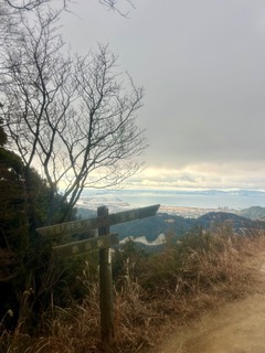IMG_0600.jpeg